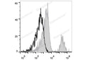 APC Anti-Human CD20 Antibody[BCA/B20] – Figure 1 of 2