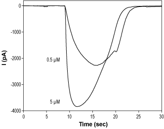 2-Methyl-5-hydroxytryptamine hydrochloride – Figure 1 of 2