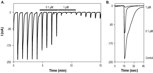 (+)-MK 801 maleate – Figure 1 of 2