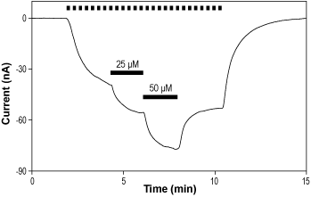 2'MeO6MF – Figure 1 of 2