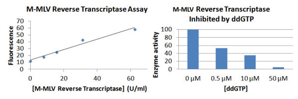 M-MLV Reverse Transcriptase Assay Kit – Figure 1 of 1