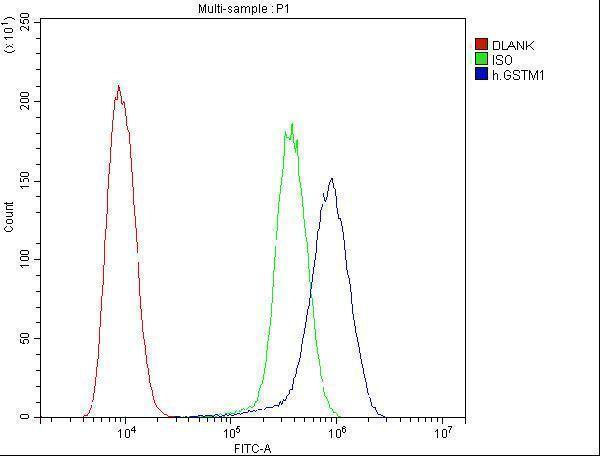 Anti-GSTM1 Antibody Picoband® (monoclonal, 11F2)