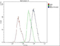 Anti-AMPK beta 2 PRKAB2 Antibody Picoband® (monoclonal, 6G1)