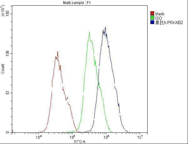 Anti-AMPK beta 2 PRKAB2 Antibody Picoband® (monoclonal, 6G1)