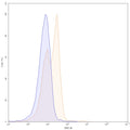 Flow-cytometry using FITC anti-Mouse CD40 antibody. Mouse spleen cells were stained with an irrelevant antibody (Blue Histogram) or an FITC anti-Mouse CD40 monoclonal antibody (Catalog: MB782117, Yellow Histogram) at a concentration of 5 µg/ml for 30 mins at RT. After washing, cells analysed on a NovoCyte Flow Cytometer.