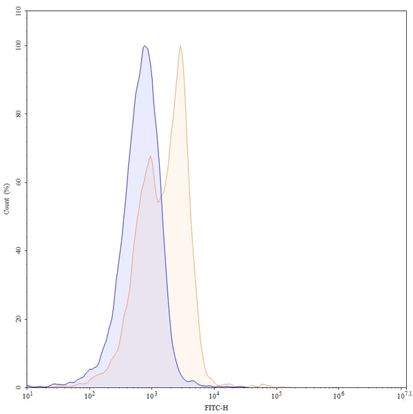 Flow-cytometry using FITC anti-Mouse CD40 antibody. Mouse spleen cells were stained with an irrelevant antibody (Blue Histogram) or an FITC anti-Mouse CD40 monoclonal antibody (Catalog: MB782117, Yellow Histogram) at a concentration of 5 µg/ml for 30 mins at RT. After washing, cells analysed on a NovoCyte Flow Cytometer.