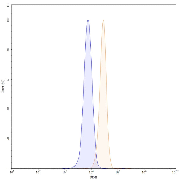 SDS-PAGE for Anti-Mouse MMP9 Antibody (SDS3).