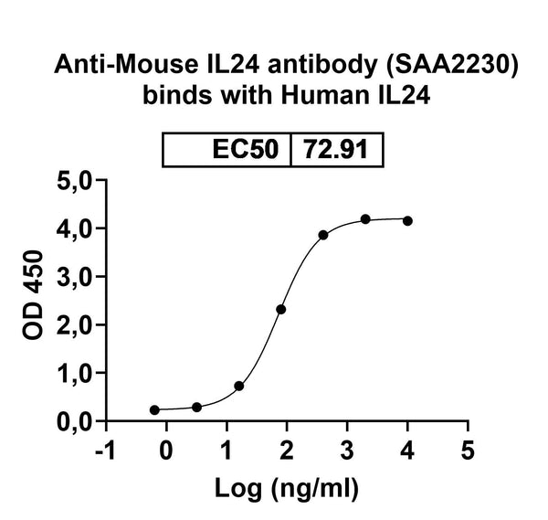 SDS-PAGE for Anti-Mouse IL24 antibody (SAA2230)