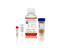 Adipose-Derived Stem Cell Growth Medium – Figure 1 of 2