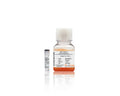 iXCells™ Motor Neuron Culture Medium Kit – Figure 1 of 1