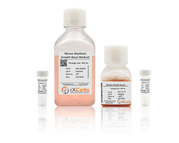 Mouse Skeletal Muscle Myoblast Growth Medium – Figure 1 of 1