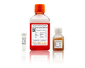 Human Adrenal Cortical Cell Culture Medium – Figure 1 of 1