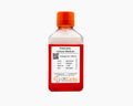 Podocytes Culture Medium – Figure 1 of 1