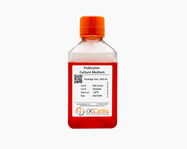 Podocytes Culture Medium – Figure 1 of 1