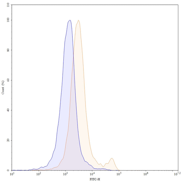 Flow-cytometry using FITC anti-Mouse CD8a antibody. Jurkat cells were stained with an irrelevant antibody (Blue Histogram) or an FITC anti-Mouse CD8a monoclonal antibody (Catalog: MF815117, Yellow Histogram) at a concentration of 5 µg/ml for 30 mins at RT. After washing, cells analysed on a NovoCyte Flow Cytometer.