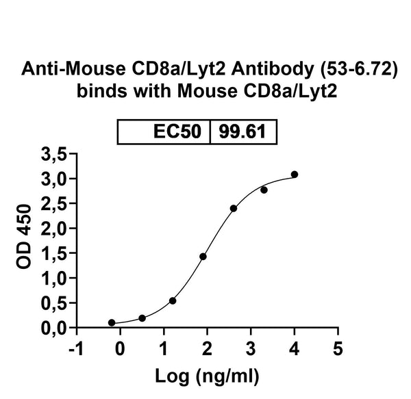 SDS-PAGE for Anti-Mouse CD8a/Lyt2 Antibody (53-6.72)