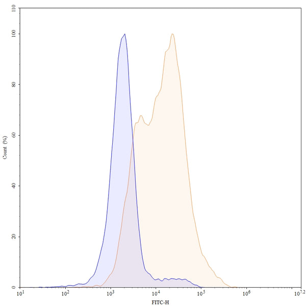 Flow-cytometry using FITC anti-Mouse CD25 antibody. Unstimulated cells (blue Histogram) and 3-day CoA-stimulated Mouse spleen cells (Yellow Histogram) were stained with an FITC anti-Mouse CD25 monoclonal antibody (Catalog: MF996117) at a concentration of 5 µg/ml for 30 mins at RT. After washing, cells analysed on a NovoCyte Flow Cytometer.