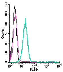 Anti-µ-Opioid Receptor/OPRM1 (extracellular)-FITC Antibody