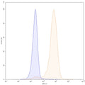 Flow-cytometry using APC anti-human DLL3 antibody. Untransfected cells (blue Histogram) and Transfected cells (Yellow Histogram) were stained with an APC anti-human DLL3 monoclonal antibody (Catalog MP628137) at a concentration of 5 µg/ml for 30 mins at RT. After washing, cells analysed on a NovoCyte Flow Cytometer.