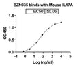 SDS-PAGE for InVivoMAb Anti-Mouse IL17A Antibody (BZN035).