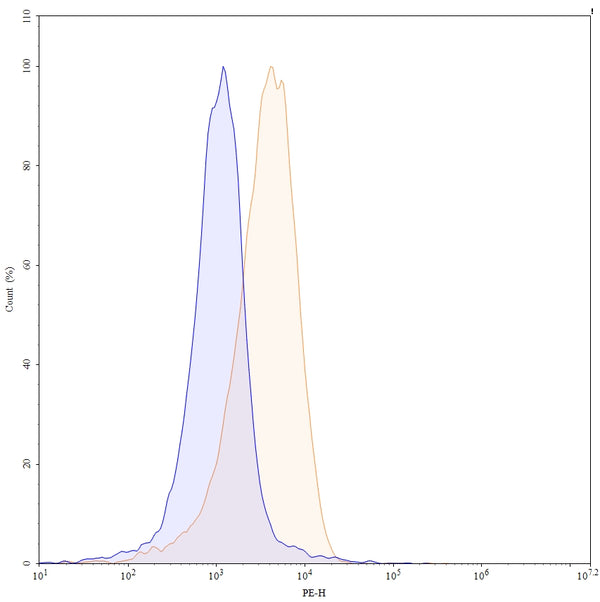Flow-cytometry using PE anti-mouse CD205 antibody. Mouse thymus cells were stained with an irrelevant antibody (Blue Histogram) or an PE anti-mouse CD205 monoclonal antibody (Catalog: MT296127, Yellow Histogram) at a concentration of 5 µg/ml for 30 mins at RT. After washing, and cells analysed on a NovoCyte Flow Cytometer.