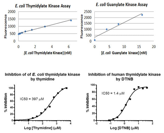 MicroMolar Universal Kinase Assay Kit – Figure 1 of 1