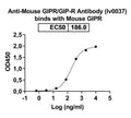 Detects Mouse GIPR/GIP-R in indirect ELISAs.