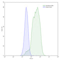 Flow-cytometry using anti-mouse CD96 antibody.CD96 Transfected CHO cells were stained with an irrelevant antibody (Blue Histogram) or an anti-mouse CD96 antibody monoclonal antibody (Catalog # MW832107 ,Green Histogram) at a concentration of 5 µg/ml for 30 mins at RT. After washing, bound antibody was detected using a FITC conjugated goat anti-mouse antibody (Catalog # MF690414) and cells analysed on a NovoCyte Flow Cytometer.