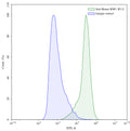 Detects ROR1 in indirect ELISAs.