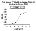Detects Recombinant Mouse TP53/p53 Protein, N-His (Cat No.: MY039012) in indirect ELISA.