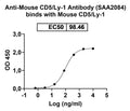 Detects Recombinant Mouse CD5 Protein, C-His (Cat No.: MY046011) in indirect ELISA.