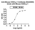 Detects Recombinant Mouse CD5 Protein, C-His (Cat No.: MY046011) in indirect ELISA.