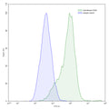 Flow-cytometry using anti-Mouse CD20 antibody.CD20 Transfected CHO cells were stained with an irrelevant antibody (Blue Histogram) or an anti-Mouse CD20 antibody monoclonal antibody (Catalog # MY257107 ,Green Histogram) at a concentration of 5 µg/ml for 30 mins at RT. After washing, bound antibody was detected using a FITC conjugated goat anti-mouse antibody (Catalog # MF690414) and cells analysed on a NovoCyte Flow Cytometer.