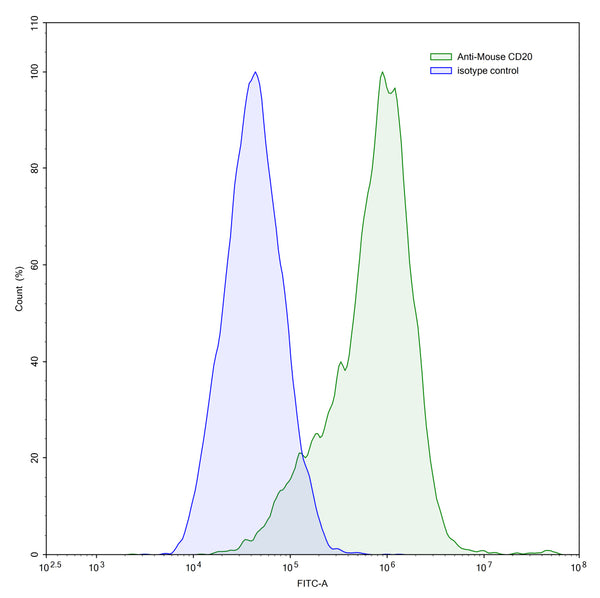 Flow-cytometry using anti-Mouse CD20 antibody.CD20 Transfected CHO cells were stained with an irrelevant antibody (Blue Histogram) or an anti-Mouse CD20 antibody monoclonal antibody (Catalog # MY257107 ,Green Histogram) at a concentration of 5 µg/ml for 30 mins at RT. After washing, bound antibody was detected using a FITC conjugated goat anti-mouse antibody (Catalog # MF690414) and cells analysed on a NovoCyte Flow Cytometer.