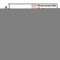 Flow-cytometry using PE anti-Mouse CD8b antibody. Mouse spleen cells were stained with an irrelevant antibody  (Green Histogram) or a PE anti-Mouse CD8b antibody monoclonal antibody (Catalog # MY433127 , Red Histogram) at a concentration of 5 µg/ml for 30 mins at RT. After washing, cells analysed on a NovoCyte Flow Cytometer.