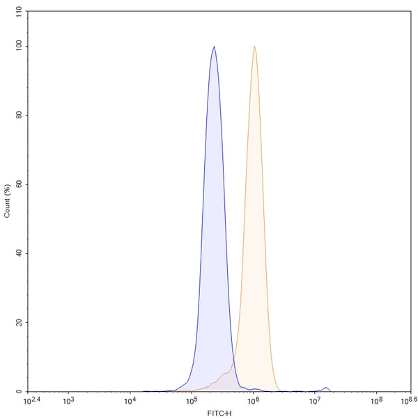 SDS-PAGE for Anti-Mouse MMP3 Antibody (CH01)