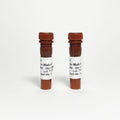 Human ACTH Monoclonal Antibody (Detection), HRP – Figure 1 of 1
