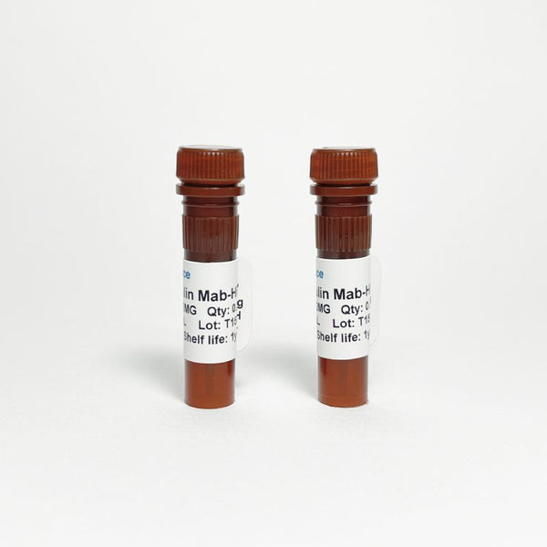 Human ACTH Monoclonal Antibody (Detection), HRP – Figure 1 of 1