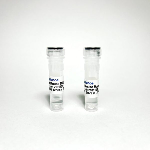 Stabilin-1 Mouse Monoclonal Antibody – Figure 1 of 1