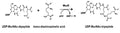 E. coli MurE Assay Kit Plus – Figure 1 of 1