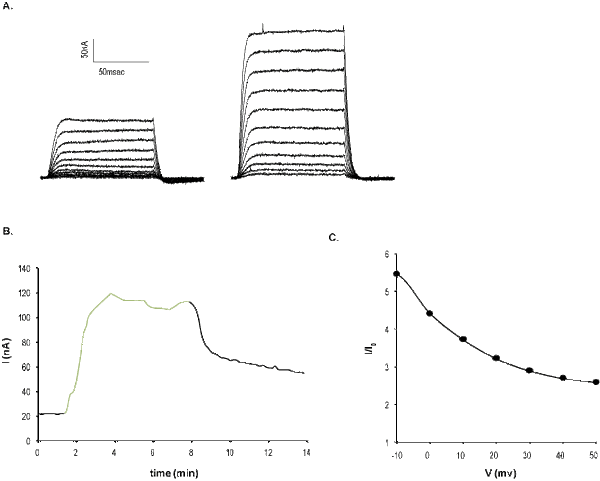 NS-1619 – Figure 1 of 2