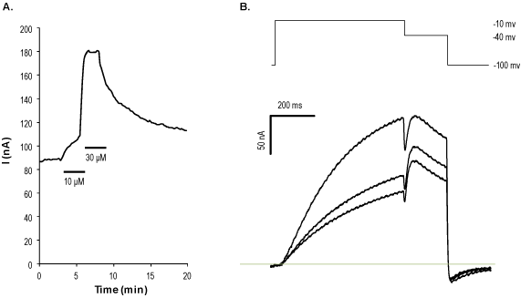 NS-1643 – Figure 1 of 2