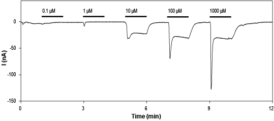 NMDA – Figure 1 of 2