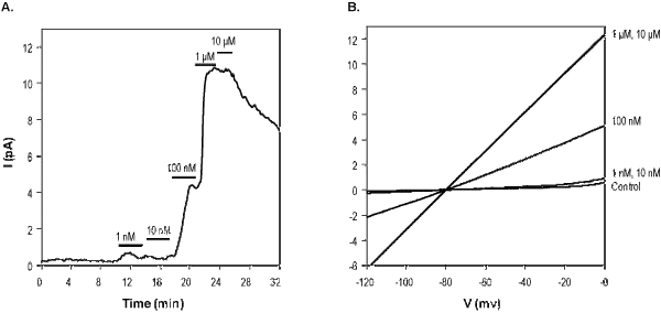 NS-309 – Figure 1 of 2