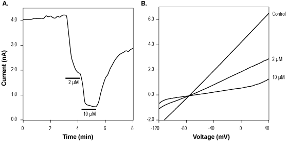 NS8593 hydrochloride – Figure 1 of 2