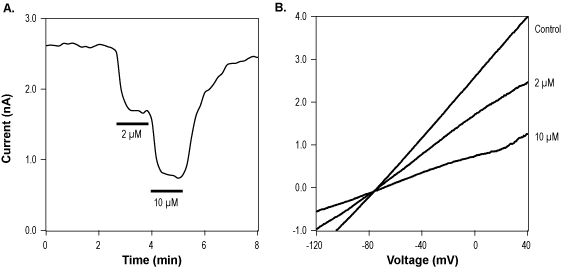 NS8593 – Figure 1 of 2