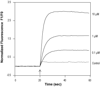 Nonivamide – Figure 1 of 2