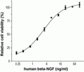 Recombinant human beta-NGF protein