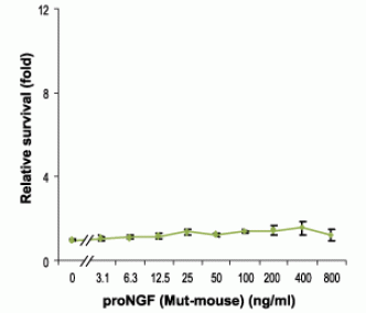Recombinant mouse proNGF (cleavage resistant) protein