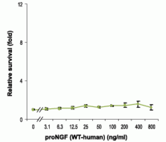 Recombinant human proNGF protein